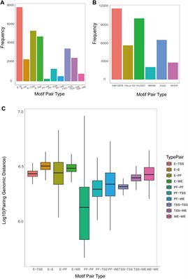Identification of DNA motif pairs on paired sequences based on composite heterogeneous graph